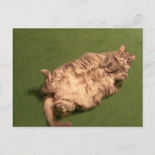 Smoochie Girl's Daily Kattunge Yoga Vykort (Framsida)