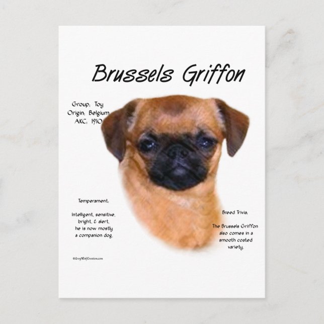 Smooth Brussels Griffon History Vykort (Framsida)
