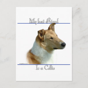 Smooth Collie Best Friend 2 Vykort