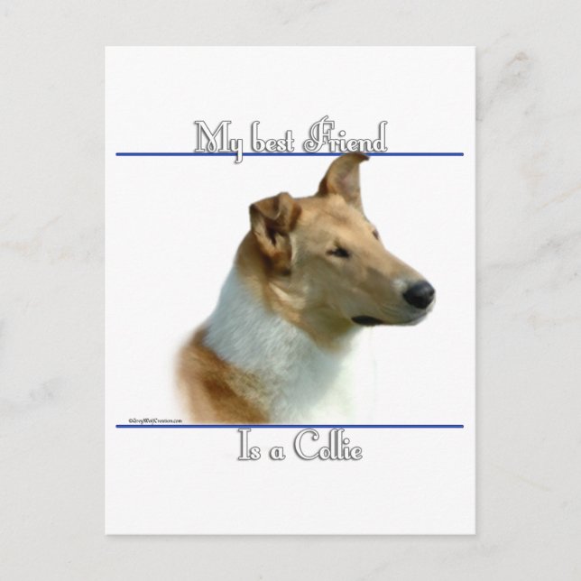 Smooth Collie Best Friend 2 Vykort (Framsida)