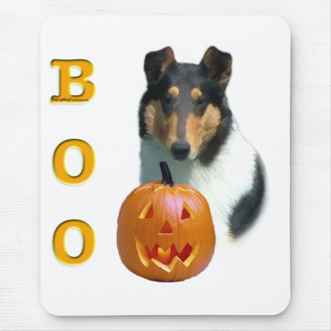 Smooth Collie Boo Musmatta (Framsidan)