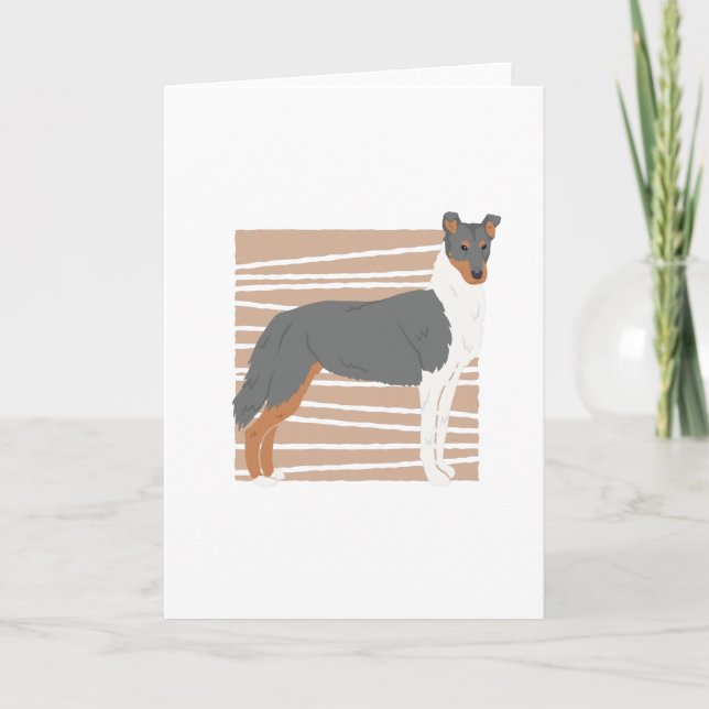 Smooth Collie Kort (Framsida)