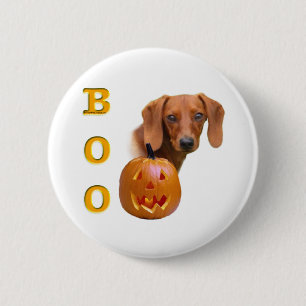 Smooth Dachshund Boo - Button Knapp