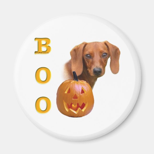 Smooth Dachshund Boo - Magnet (Framsidan)