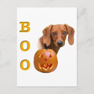 Smooth Dachshund Boo Vykort