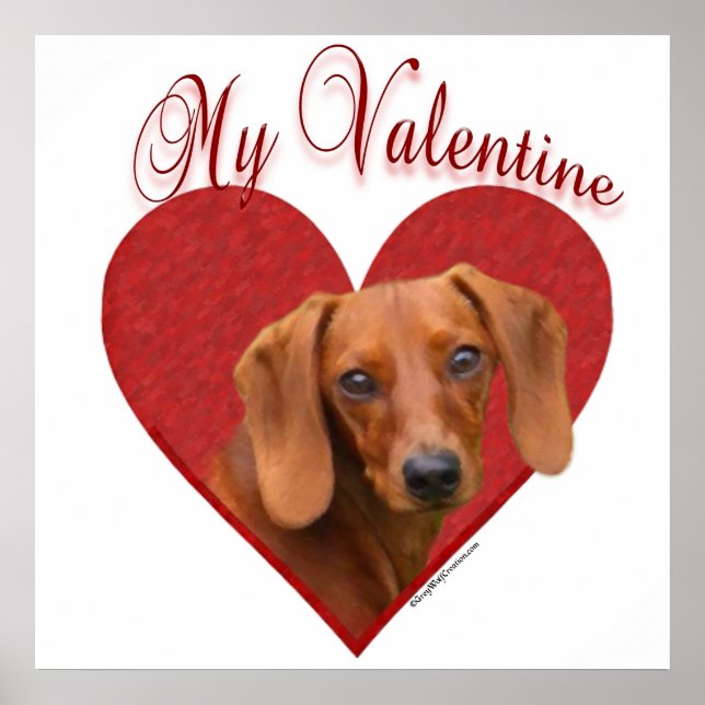 Smooth Dachshund My Valentine Poster (Framsidan)