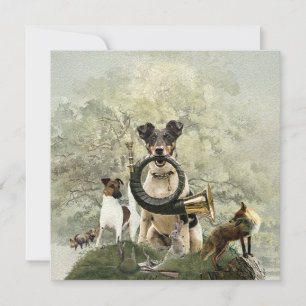 Smooth Fox Terrier Kort