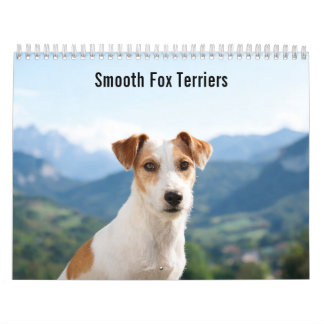 Smooth Fox Terriers 2027 Väggkalender Kalender