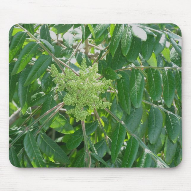 Smooth Sumac Flowers Mousepad Musmatta (Framsidan)