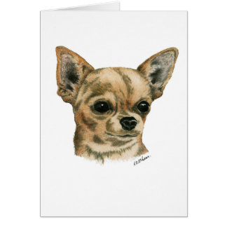 Smoothcoat chihuahua hälsningskort