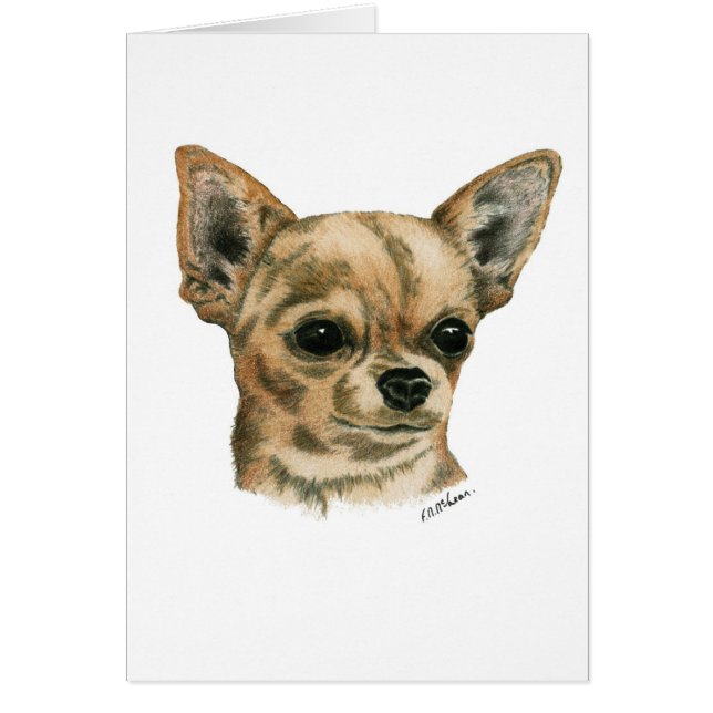 Smoothcoat chihuahua hälsningskort (Framsidan)