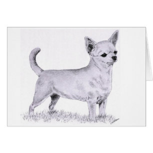 Smoothcoat chihuahua - stå hälsningskort