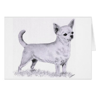 Smoothcoat chihuahua - stå hälsningskort