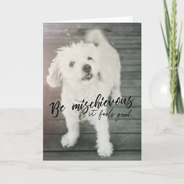 SMÖPARE-gratulationskort för HUND Tack Kort (Framsida)