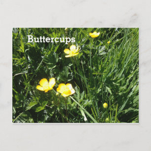 Smör, blomma, bild vykort
