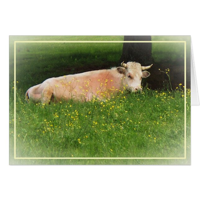 Smör Hälsningskort (Framsidan Horizontal)