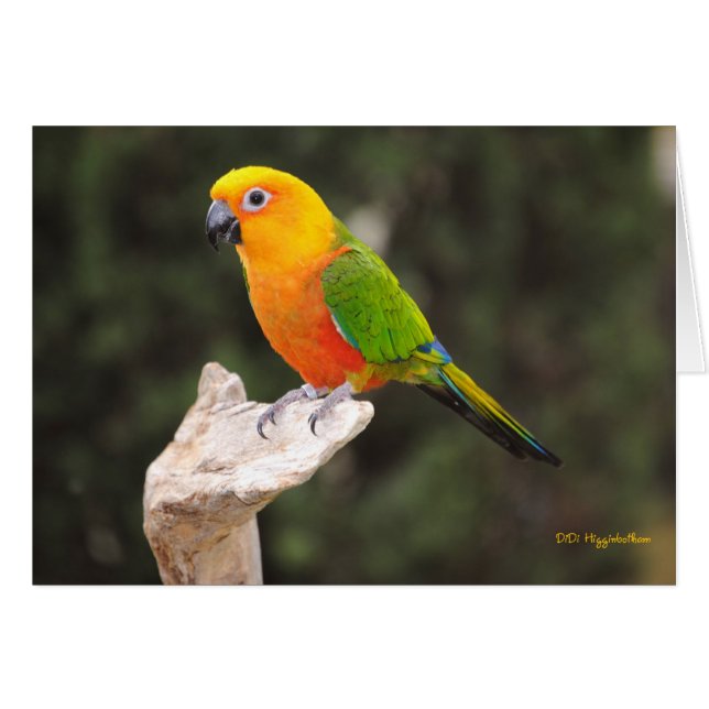 Smör I Hälsningskort (Framsidan Horizontal)