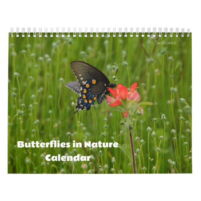 Smör i naturkalender kalender (Omslag)