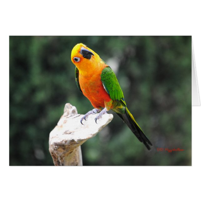 Smör II Hälsningskort (Framsidan Horizontal)