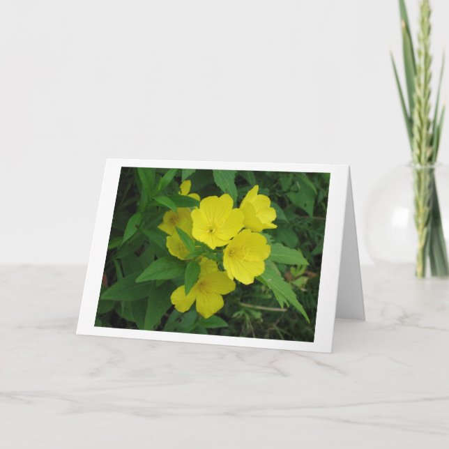 Smör Kort (Framsida)