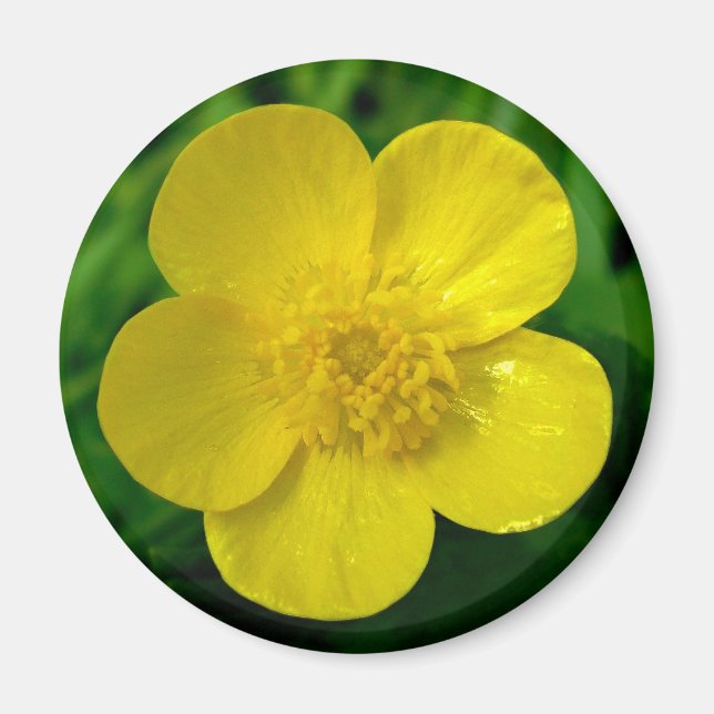 Smör Magnet (Framsidan)