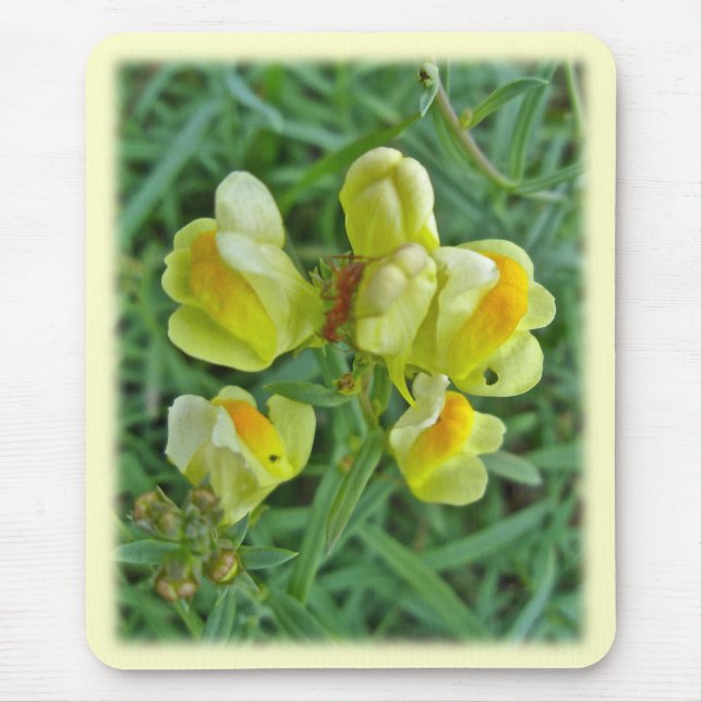 Smör 'n Ägg Wildblomskoordinationsobjekt Musmatta (Framsidan)