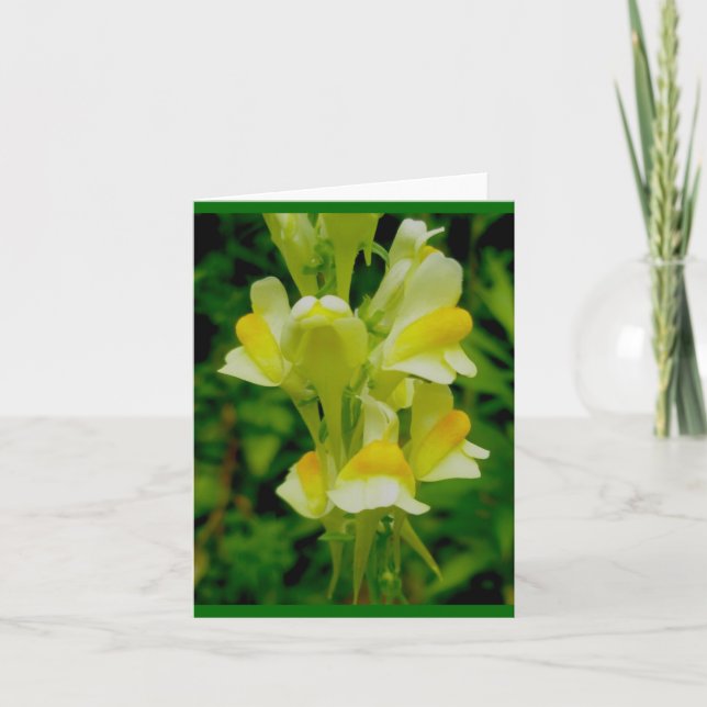 Smör 'n ägganteckningskort helgkort (Framsida)