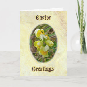 Smör 'n Eggs Påsk Hälsning Card Helgkort