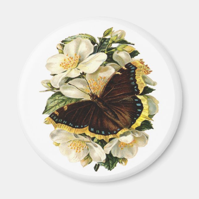 SMÖR- OCH VITBLOMMOR MAGNET (Framsidan)