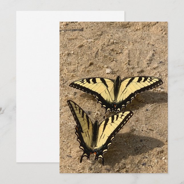 Smör på det platta Helgdag Beach Julkort (Fram/baksida)