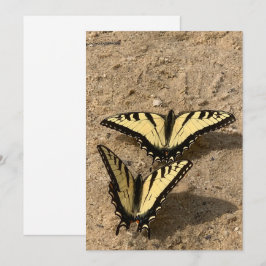 Smör på det platta Helgdag Beach Julkort