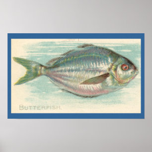 Smörfisk Poster