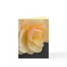 Smörig Begonia-kort