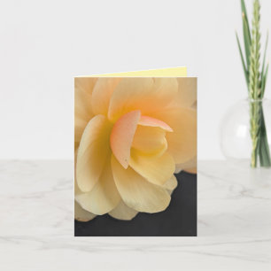 Smörig Begonia-kort Tack Kort