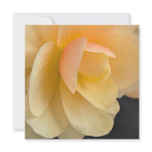 Smörig Begonia-kort
