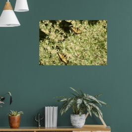 Smörsvansfjärilar på blommar shrub poster