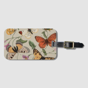 Smterfly Moth Nature Collection Teckning Bagagebricka