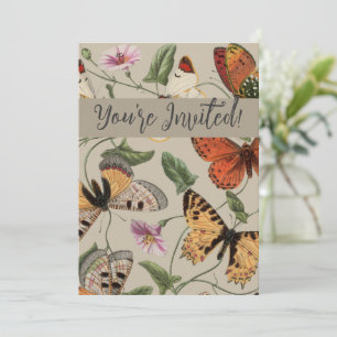 Smterfly Moth Nature Collection Teckning Inbjudningar