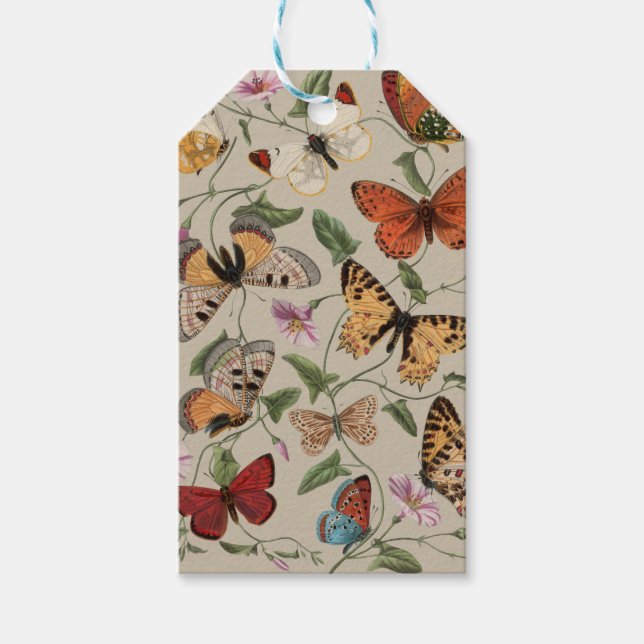 Smterfly Moth Nature Collection Teckning Presentetikett (Framsidan)