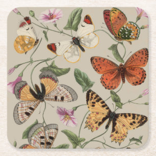 Smterfly Moth Nature Collection Teckning Underlägg Papper Kvadrat