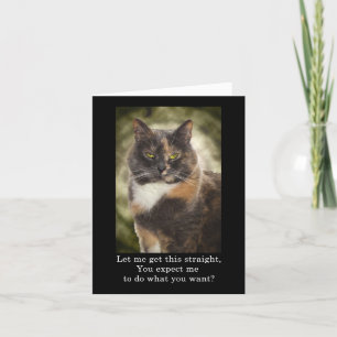 Smug Kattunge - vad vill du? Kort