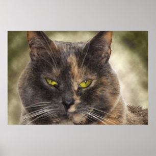 Smug Kattunge - vad vill du? Poster