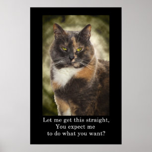 Smug Kattunge - vad vill du? Poster