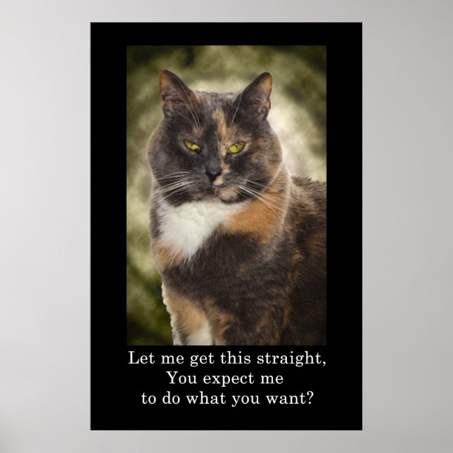 Smug Kattunge - vad vill du? Poster (Framsidan)