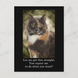 Smug Kattunge - vad vill du? Vykort