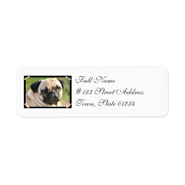 Smug Pug-segeletiketter Returadress Etikett (Framsidan)