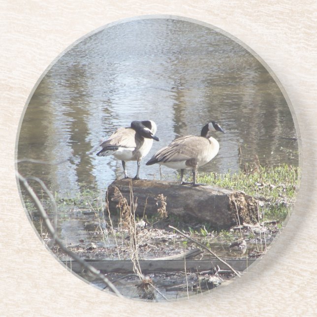 Smutsa ner fågeln underlägg (Framsidan)