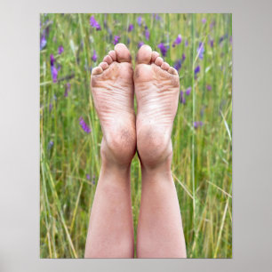 smutsa ner kal fot i vildblommar poster