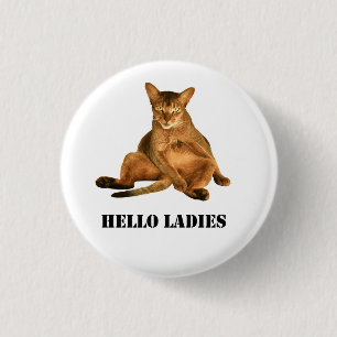 Smutsa ner katten som pinback knäppas knapp
