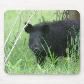 Smutsa ner näsan musmatta